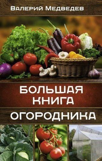 Велика книга городника
