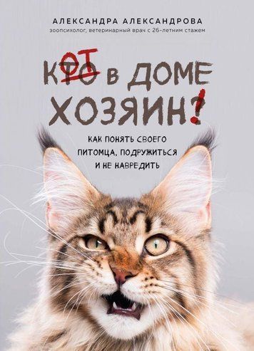 Кіт у домі господар! Як зрозуміти свого улюбленця, потоваришувати і не нашкодити