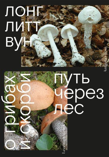 Стежка крізь ліс. Про гриби й печаль