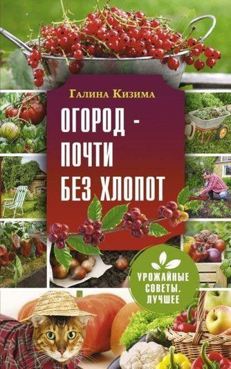 Город - майже без клопоту