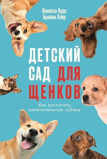 Дошкільний заклад для цуценят: Як виростити чудового пса