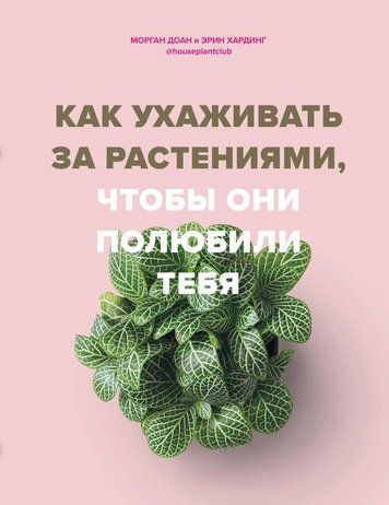 Як доглядати за рослинами, щоб вони полюбили тебе