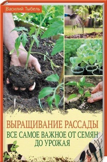 Вирощування розсади. Усе найважливіше від насіння до врожа
