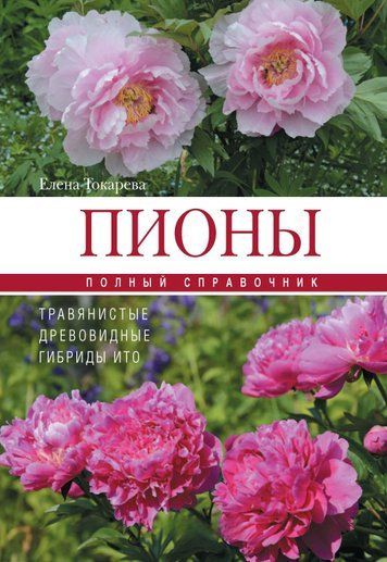 Півонії: трав'янисті, деревоподібні, гібриди Іто